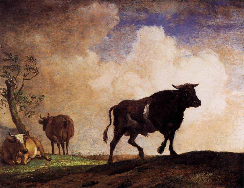 The Bull, paulus potter